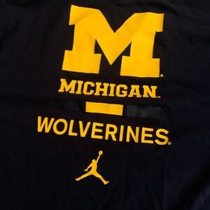 Jordan Michigan Wolverines Yellow Logo Tee